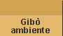 Ambiente