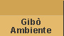 Ambiente