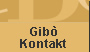 Kontakt